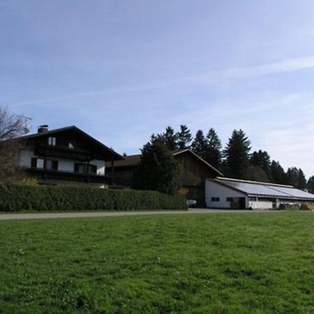 Ferienwohnung Nr 5, Lechbruck-Gruendl, Allgaeu Prem Eksteriør billede
